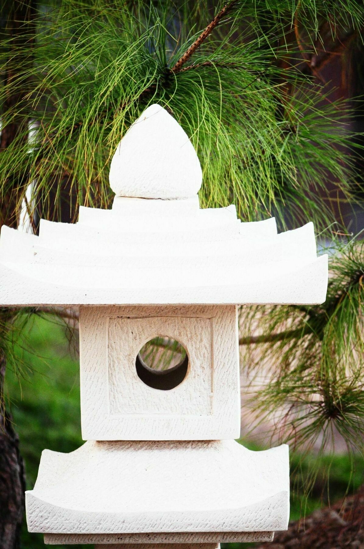 Zen Home Resort & Garden @ פאיאו מראה חיצוני תמונה